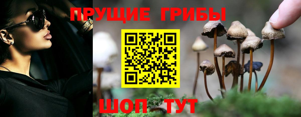 Псилоцибиновые грибы мицелий Родники